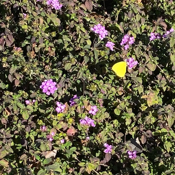 Meet your Posher, B - Picture 1 of 1